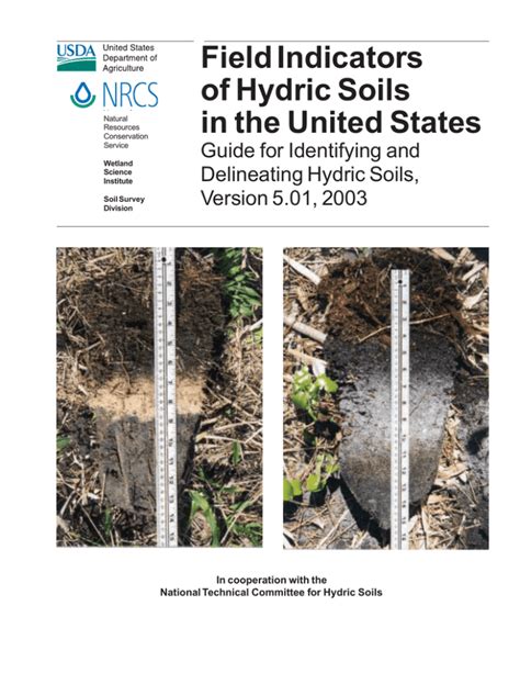 Field Indicators of Hydric Soils in the United States (Version 